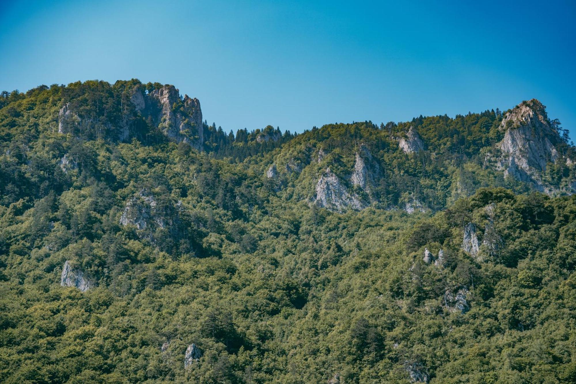 Hotel Vucja Gora Foca Esterno foto